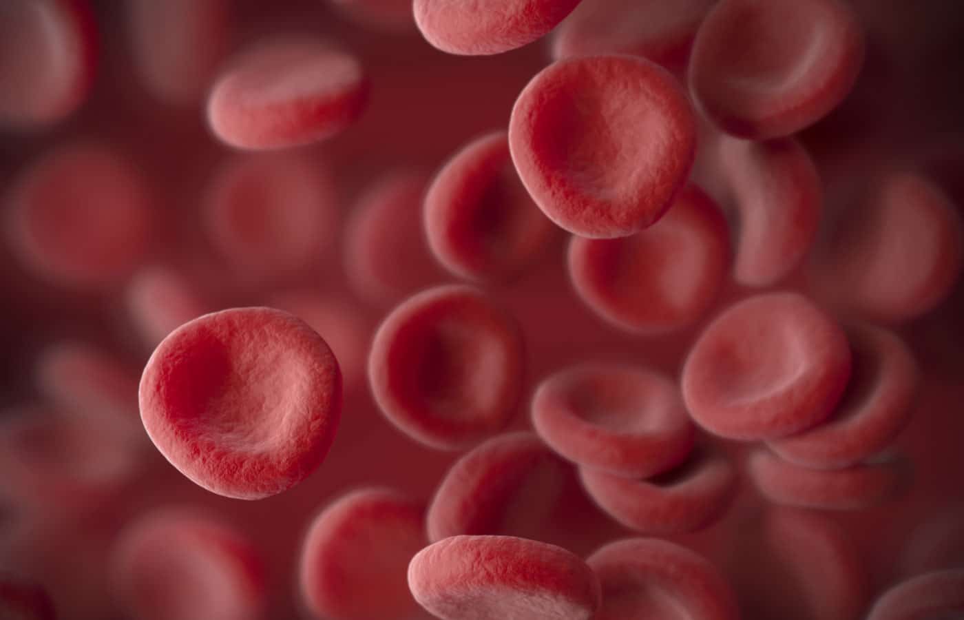 3d abstract red blood cells illustration, scientific or medical or microbiological background